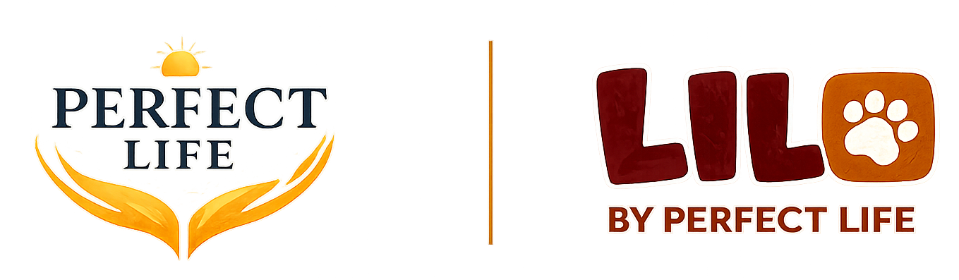 Logo Plifevn
